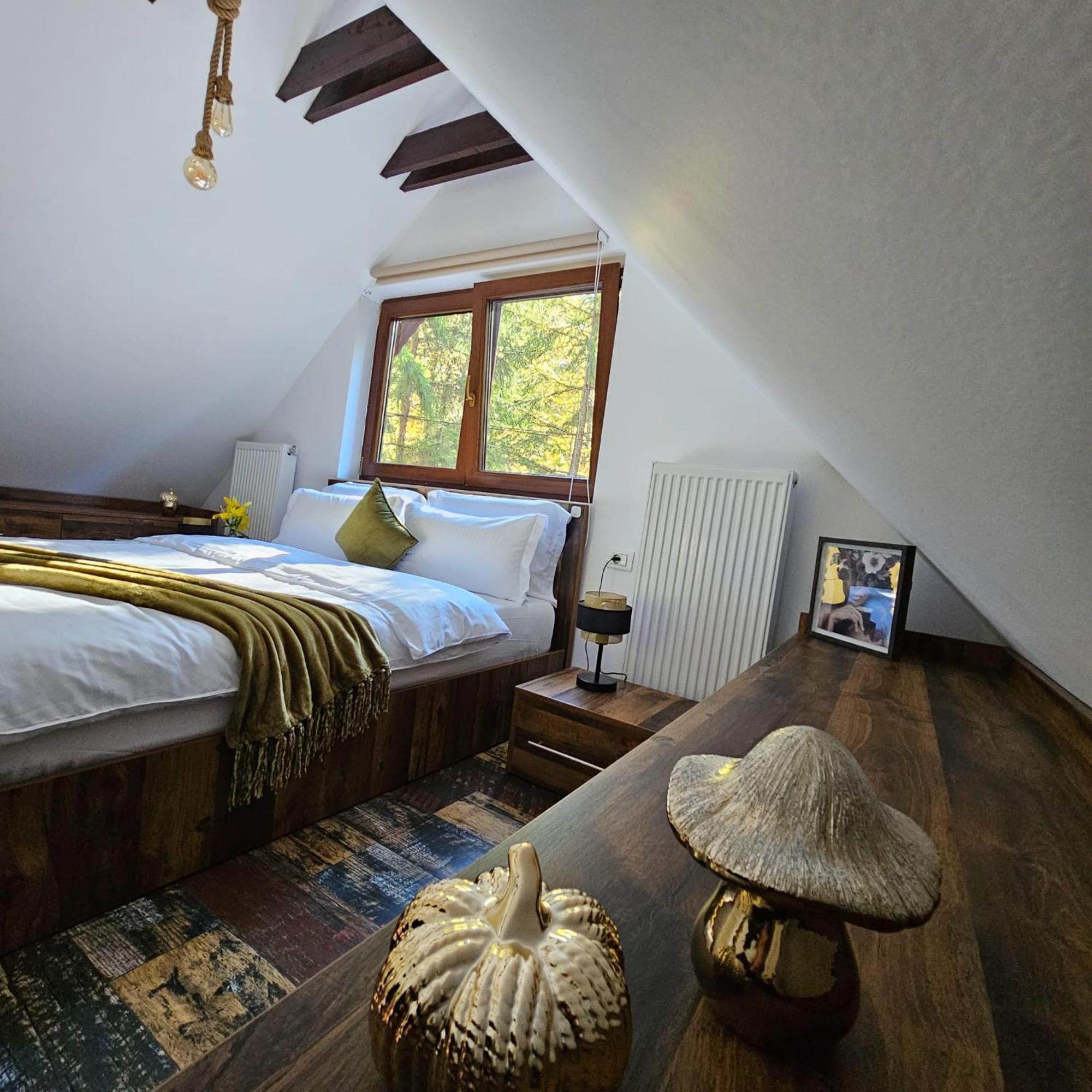 Wild House Chaletu Sinaia