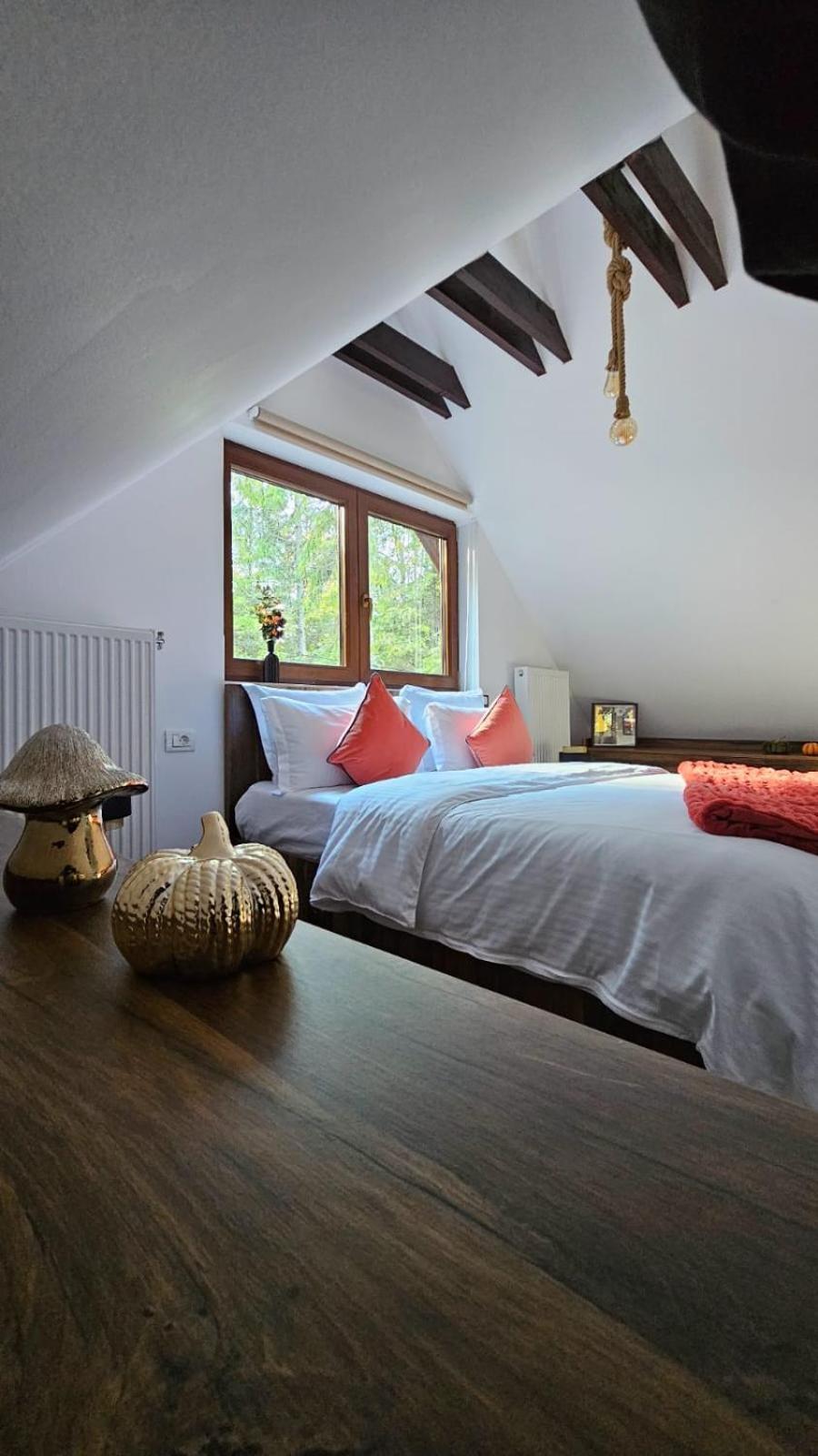 Chaletu Wild House Sinaia