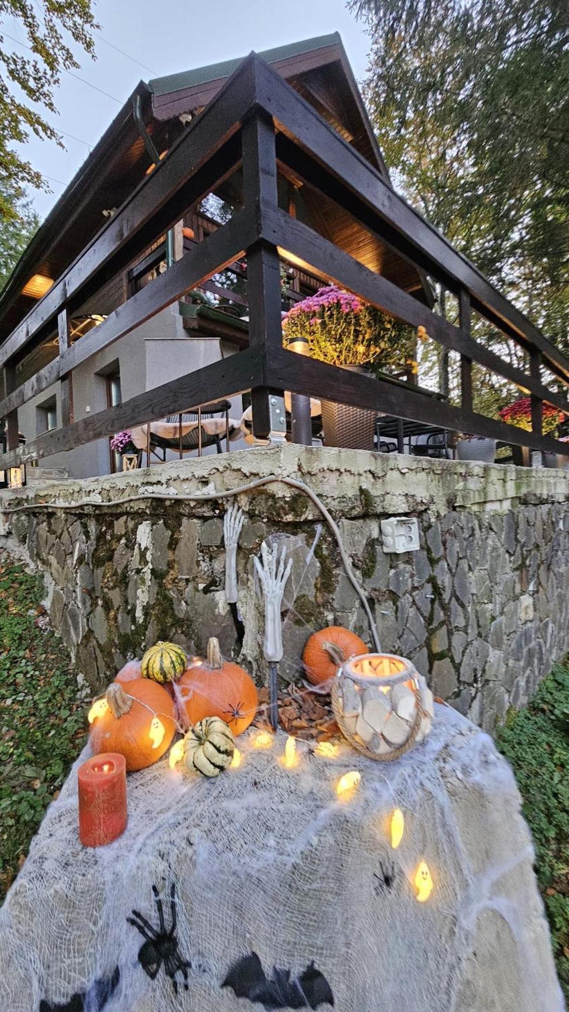 Wild House Chaletu *