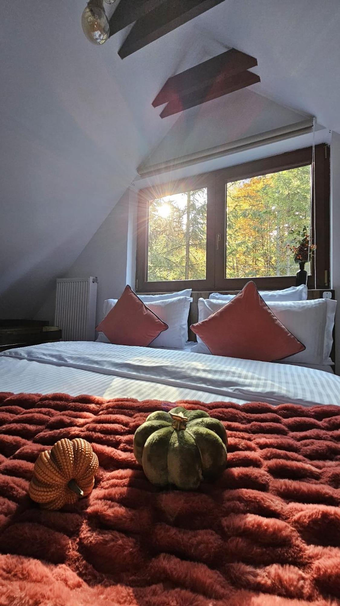 Chaletu Wild House Sinaia
